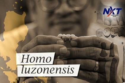 Homo Luzonesis