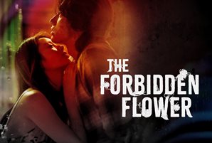 "The Forbidden Flower" with Jerry Yan promises a captivating journey of love and healing