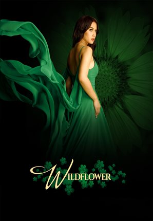 Wildflower Season 1 International Sales