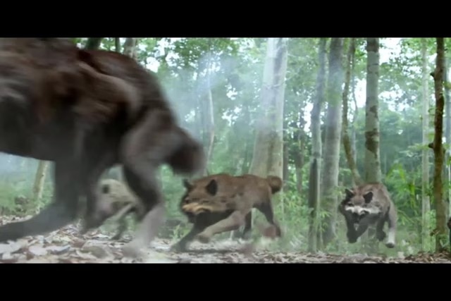video Thumbnail Image