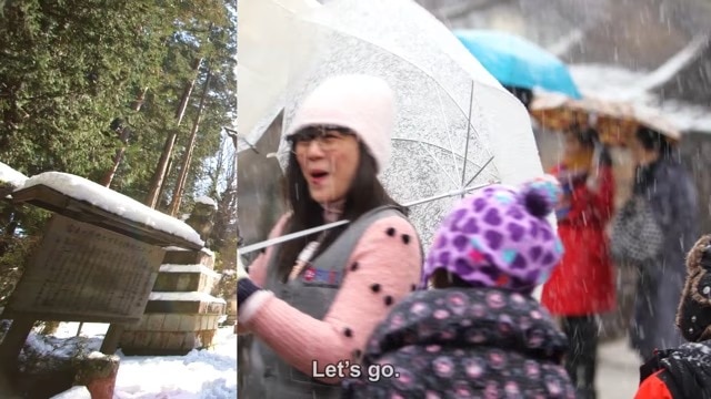 video Thumbnail Image