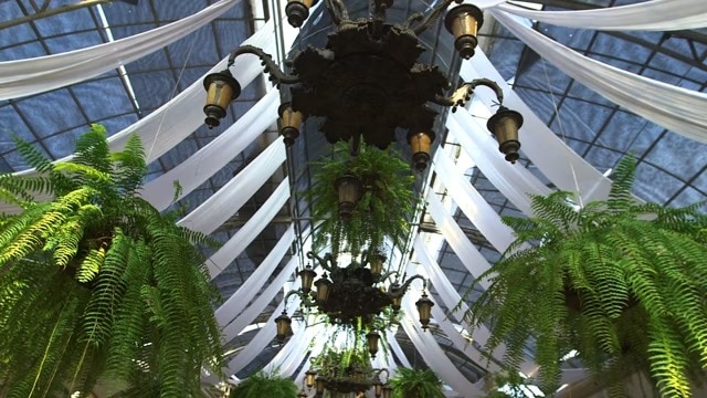 video Thumbnail Image